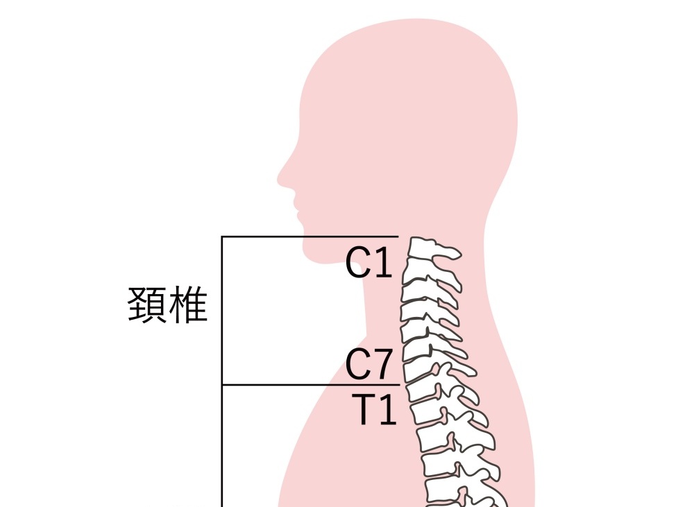 頸椎
