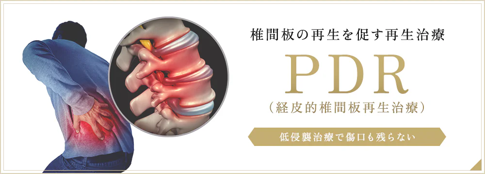 PDR法(経皮的椎間板修復治療)