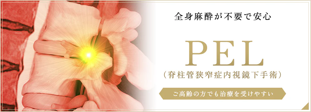 PEL(脊柱管狭窄症内視鏡下手術)