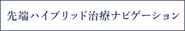 先端ハイブリッド治療ナビゲーション