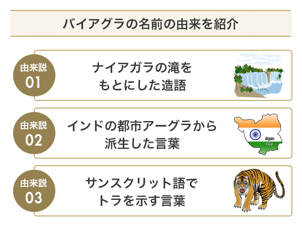 バイアグラの名前の由来