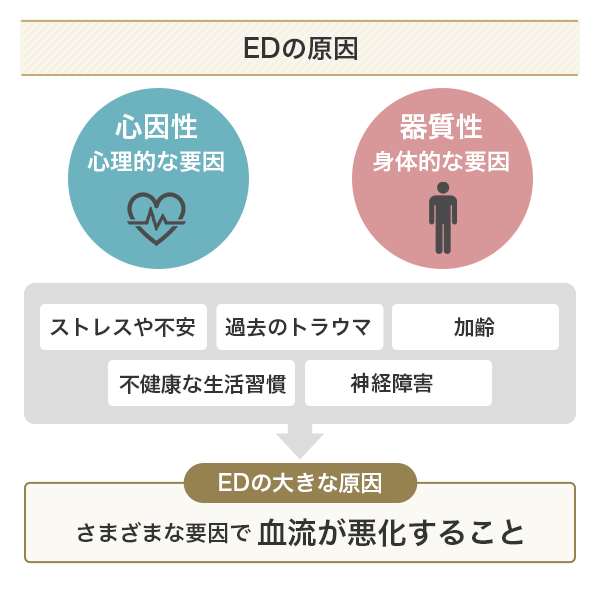 EDの原因