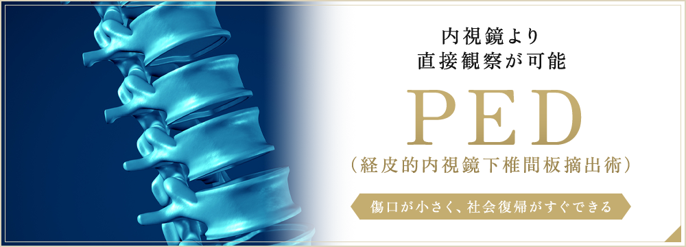内視鏡より直接観察が可能PED（経皮的内視鏡下椎間板摘出術）傷口が小さく、社会復帰がすぐできる