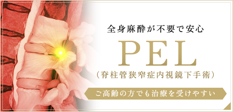 全身麻酔が不要で安心PEL（脊柱管狭窄症内視鏡下手術）ご高齢の方でも治療を受けやすい