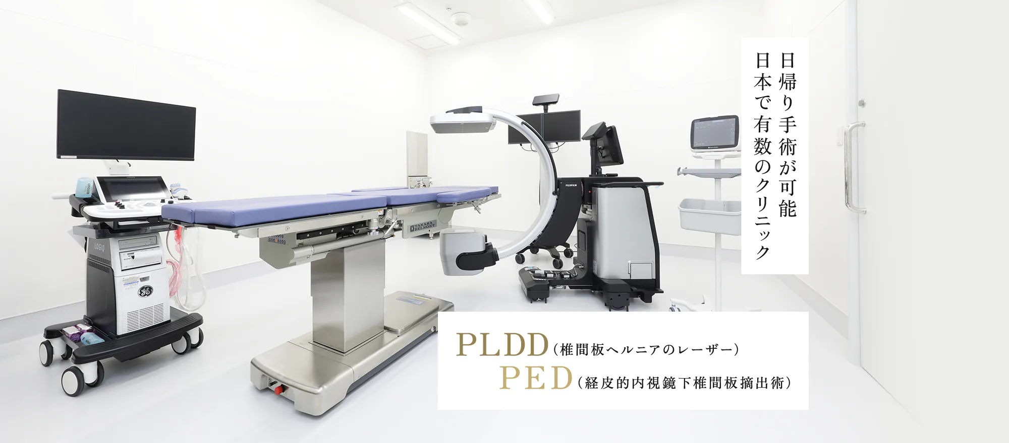日帰り手術が可能 日本で有数のクリニック PLDD(椎間板ヘルニアのレーザー)PED(経皮的内視鏡下椎間板摘出術)