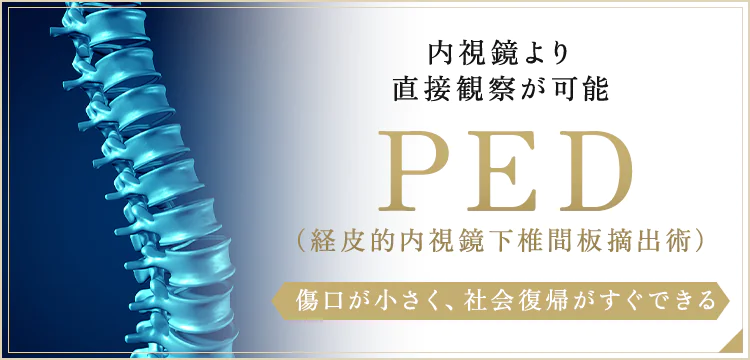 内視鏡より直接観察が可能PED（経皮的内視鏡下椎間板摘出術）傷口が小さく、社会復帰がすぐできる