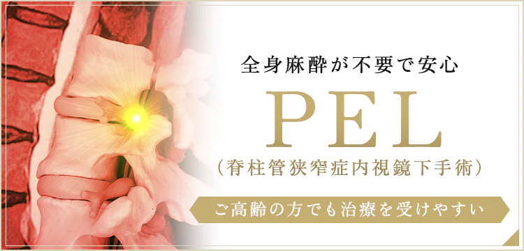 全身麻酔が不要で安心PEL（脊柱管狭窄症内視鏡下手術）ご高齢の方でも治療を受けやすい